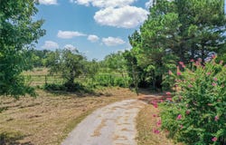 9901 FM 1156, Jacksboro, TX 76458