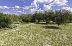 HWY 55 Pvt, Uvalde, TX 78801