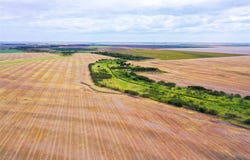 CR 223, Weinert, TX 76388
