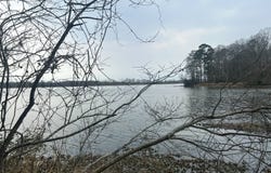 County Road 29, Alberta, AL 36720