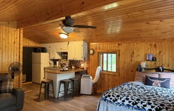 11691 Killdeer Drive, Lakeview, MI 48850