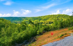 1776 Fairview Rd, Tellico Plains, TN 37385