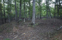 Pilot Mountain Rd, Moneta, VA 24121