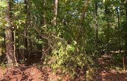 Guest Circle, Anderson, SC 29621