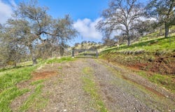 26900 Rye Meadow Lane, Clovis, CA 93619