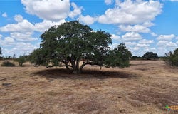 Tract 3 County Road 366, Shiner, TX 77984
