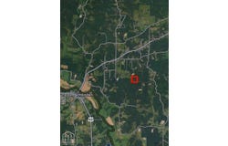 40 Squirrel, Imboden, AR 72434