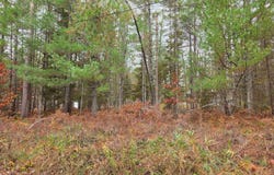 Battalion Boulevard, Grayling, MI 49738