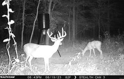 Cooper Bend, Kinta, OK 74552