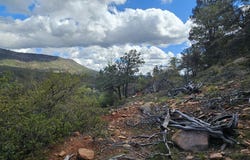 5059 N HILLTOP Drive, Pine, AZ 85544