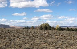 Tr A Los Rios Road, Arroyo Hondo, NM 87513