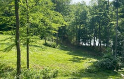 Sylvan Circle, Leitchfield Ky 42754, KY 42754