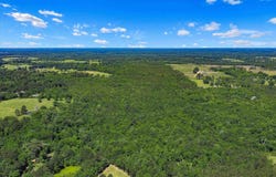 TBD CR 3361, DeBerry, TX 75639