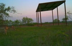 County Road 343, Dublin, TX 76446
