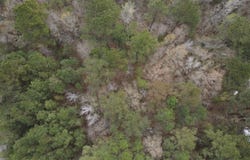 74 Farrior Dr, Maple Hill, NC 28408