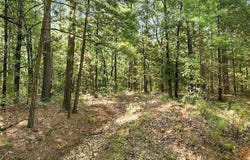 45 Buck Creek Road, Moyers, OK 74557