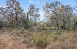 766 Bugtussle Ln, Luling, TX 78648
