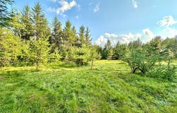 County Road N, Augusta, WI 54722