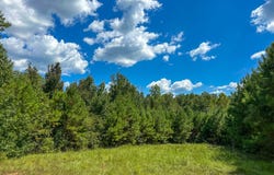 0 Co Rd 61, Pine Apple, AL 36768