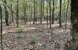 No E Lake Drive, Clinton, MS 39056