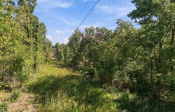 894 SE 1135 Road, Deepwater, MO 64740