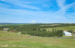 6 MT ADAMS VIEW Rd, Lyle, WA 98635