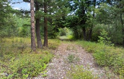 1925 Castle View Drive, Victor, MT 59875