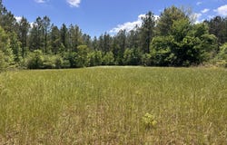 County Road 1101 County Road 1101, Shady Grove, AL 36035