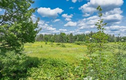 West20 DAVIES RD, Phelps, WI 54554