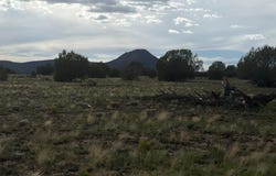 59ne Rocky Rabbit Road, Ash Fork, AZ 86320