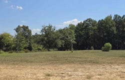 COUNTY ROAD 351 lot: 1, MAPLESVILLE, AL 36750