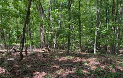 TR 1A Chalcrest Way, Cave Spring, GA 30124
