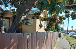 8901 D ST, OAKLAND, CA 94621