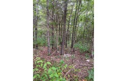 Gumbo Woods lot: #27, Shell Knob, MO 65747