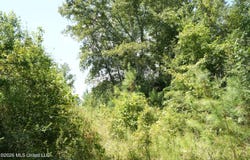 Joe Booth Road, Collins, MS 39428