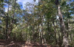 4600 Silerton Road, Henderson, TN 38340