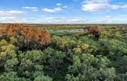 824 County Rd 409, Talpa, TX 76884