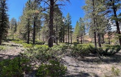 Elk Ridge Estates lot: # 5 Phase 6, Alton, UT 84710
