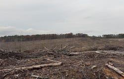 CR 442, PARIS, MS 38949