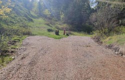 L39B4 CUTTHROAT RUN, Irwin, ID 83428