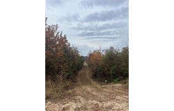 Wire 2 Road, Cheraw, SC 29520