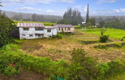 44-2906 KALOPA RD, Honokaa, HI 96727