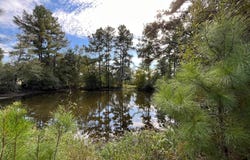 7749 CR 4200, Pennington, TX 75847