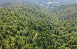 SALTLICK Road, Terra Alta, WV 26764