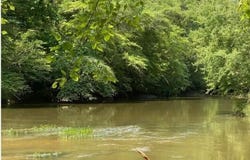 0 OLD PINEYWOODS Rd, Jasper, AL 35504