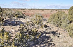 691 CR 5270, Concho, AZ 85924