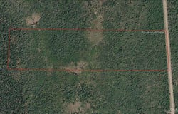 E N Co Rd 415, McMillan, MI 49853