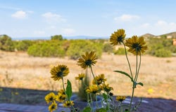 176 Principe De Paz, Santa Fe, NM 87508