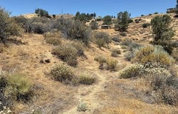 Rancharia Creek Road, Caliente, CA 93518