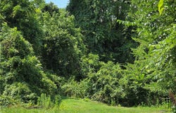 Coshocton Avenue, Cambridge, OH 43725